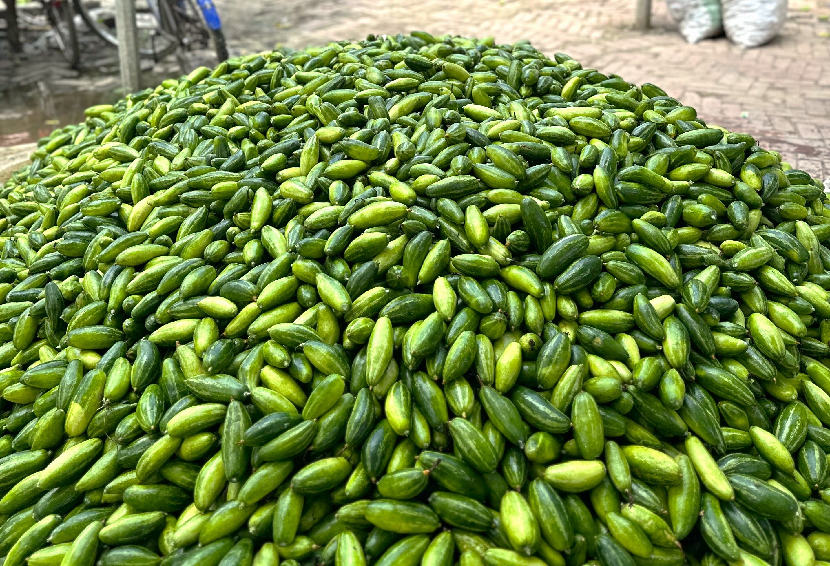 Chilling Profits? Scaling Fruits and Vegetable Cold Storage in Bangladesh